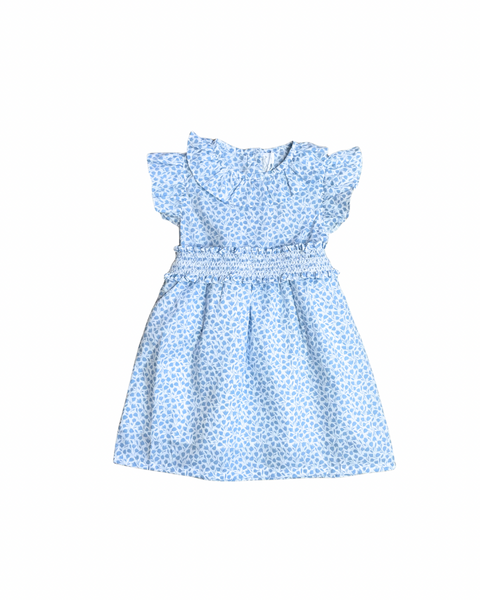 Floral Blue Printed Pima Cotton Smoked Dress